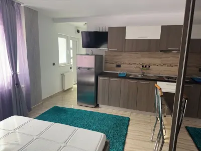 Garsoniera la parterul unei vile cu curte - Zona Nicolina,  2 min de Jumbo - foto 4