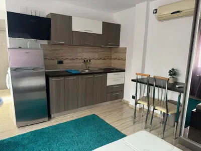 Garsoniera la parterul unei vile cu curte - Zona Nicolina,  2 min de Jumbo - foto 5