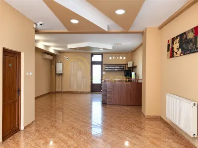 Spatiu Comercial Tatarasi Vasile Lupu 72 mp - foto 2