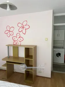 Apartament 3 camere de închiriat Zona Canta - foto 6