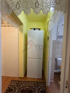 Apartament 2 camere decomandat, parter inalt- Nicolina - foto 8