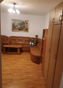 Vanzare Apartament 3 Camere Decomandat Berceni-Dorohoi - Bucuresti