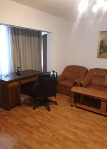 Vanzare Apartament 3 Camere Decomandat Berceni-Dorohoi - foto 2