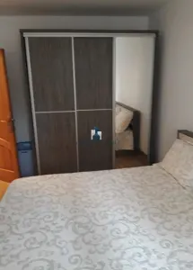 Vanzare Apartament 3 Camere Decomandat Berceni-Dorohoi - foto 4