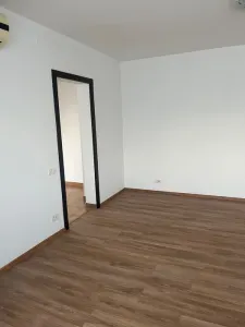 Apartament (chirie sau vanzare) - foto 3