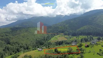 Teren intravilan 3.000–5.000 mp, priveliște panoramică – Bran–Șimon - Bran