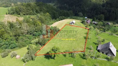 Teren intravilan 3.000–5.000 mp, priveliște panoramică – Bran–Șimon - foto 6