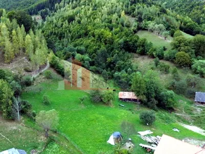 Teren de investiție în Moieciu, lângă Castelul Bran – 11.381 mp, vedere Bucegi - foto 15
