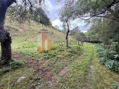 Teren de investiție în Moieciu, lângă Castelul Bran – 11.381 mp, vedere Bucegi - foto 6