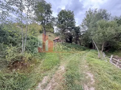 Teren de investiție în Moieciu, lângă Castelul Bran – 11.381 mp, vedere Bucegi - foto 7
