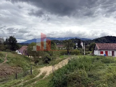 Teren de investiție în Moieciu, lângă Castelul Bran – 11.381 mp, vedere Bucegi - foto 9