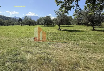 Teren 4558 mp cu casă tradițională, Sohodol, Bran - foto 11