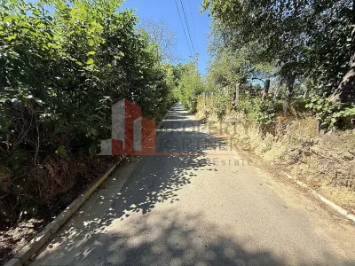 Teren 4558 mp cu casă tradițională, Sohodol, Bran - foto 12