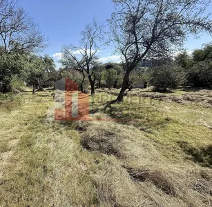 Teren 4558 mp cu casă tradițională, Sohodol, Bran - foto 8