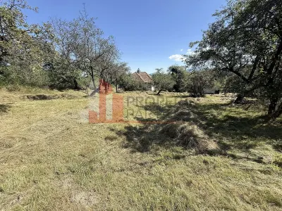 Teren 4558 mp cu casă tradițională, Sohodol, Bran - foto 9