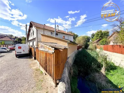 Vila impunatoare cu garaj si anexe, in inima orasului Sfantu Gheorghe, Covasna - foto 43