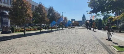 Pietonal Stefan cel Mare, spatiu  la etaj pentru activitati diverse - foto 1
