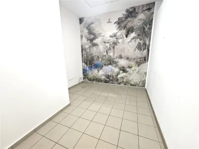Pietonal Stefan cel Mare, spatiu  la etaj pentru activitati diverse - foto 11