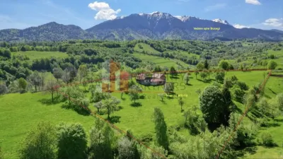 Teren 15.856 mp în Bran Sohodol | Ideal dezvoltare turistică - foto 2