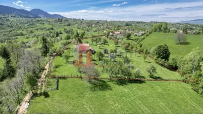 Teren 15.856 mp în Bran Sohodol | Ideal dezvoltare turistică - foto 4