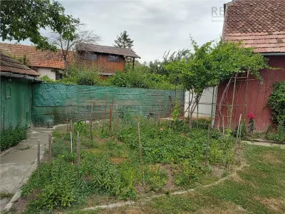 Casa de 3 camere, 500mp teren+bucatarie de vara+sura-Bod - foto 13