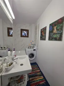 Isho-Tipografilor Apartartament 2 Camere Parter - foto 11