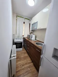 Isho-Tipografilor Apartartament 2 Camere Parter - foto 13