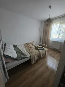 Isho-Tipografilor Apartartament 2 Camere Parter - foto 8