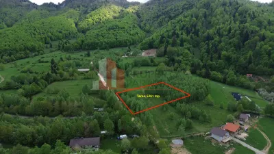 Teren intravilan 5.261 mp Tohănița | Deschidere 49 m | Utilități, lângă pădure - Zarnesti