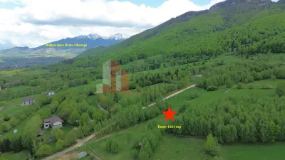 Teren intravilan 5.261 mp Tohănița | Deschidere 49 m | Utilități, lângă pădure - foto 5