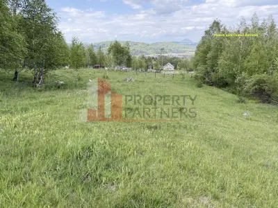 Teren intravilan 5.261 mp Tohănița | Deschidere 49 m | Utilități, lângă pădure - foto 7