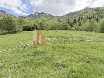 Teren intravilan 5.261 mp Tohănița | Deschidere 49 m | Utilități, lângă pădure - foto 8