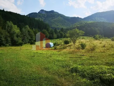 Teren Bran Tohanita | Intravilan 1.379 mp | Vedere Panoramică| - foto 20