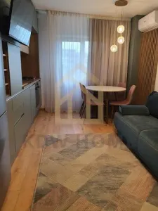 Teiul Doamnei, Apartament 2 camere - foto 5