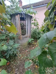 MDI casa cu pivnita la Salard - foto 2