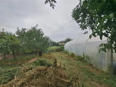 MDI casa cu pivnita la Salard - foto 5