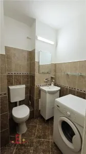 Apartament 3 camere cu garaj, parter inalt, Str Transilvania, 2 bai,  68 mp,  Tudor - foto 10