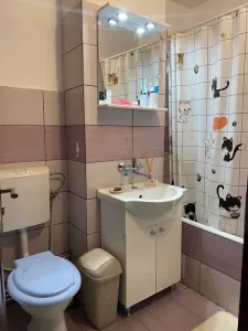 PF inchiriez ap 2 camere, decomandat, zona BIG - foto 5