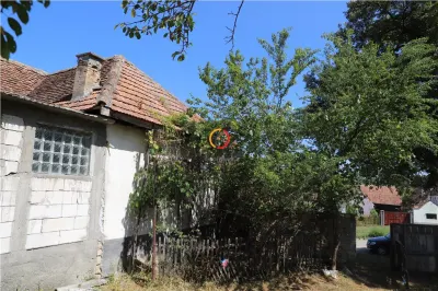casa traditionala Bruiu Somartin judet Sibiu - foto 32