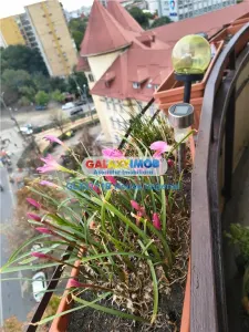 Apartament 2 camere Sos M.Bravu-Obor - foto 8
