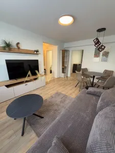 Inchiriere apartament 2 camere Timisoara - foto 11