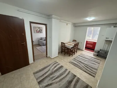 artament 2 camere de inchiriat – zona Timocului – 55 mp – 400 € - foto 6
