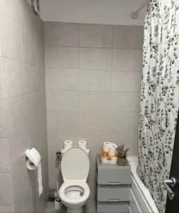 Apartament 2 camere de inchiriat - foto 5