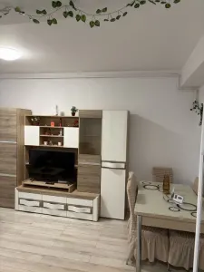Apartament 2 camere de inchiriat - foto 8