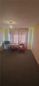 Apartament la Parter zona Sagului P-ta Doina - foto 7