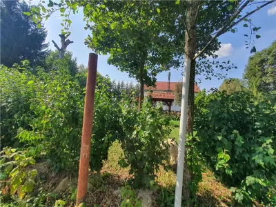 Teren intravilan - ultimul lot de 698mp in Sacel - zona lacuri - foto 12