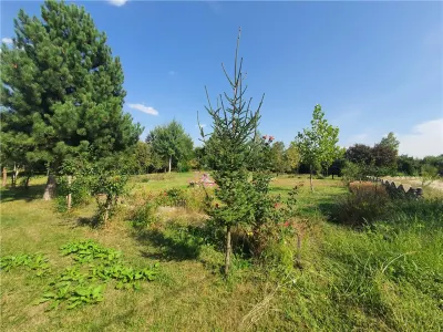 Teren intravilan - ultimul lot de 698mp in Sacel - zona lacuri - foto 13