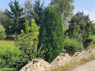 Teren intravilan - ultimul lot de 698mp in Sacel - zona lacuri - foto 22