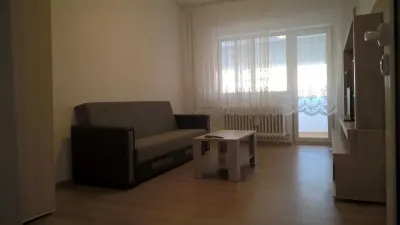 Proprietar dau in chirie ap. 3 camere decomandat - foto 5