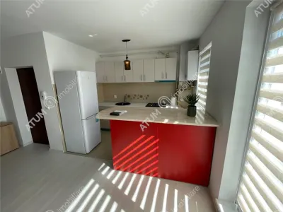 De inchiriat apartament cu 2 camere balcon si loc parcare situat in zona Doamna Stanca - foto 4
